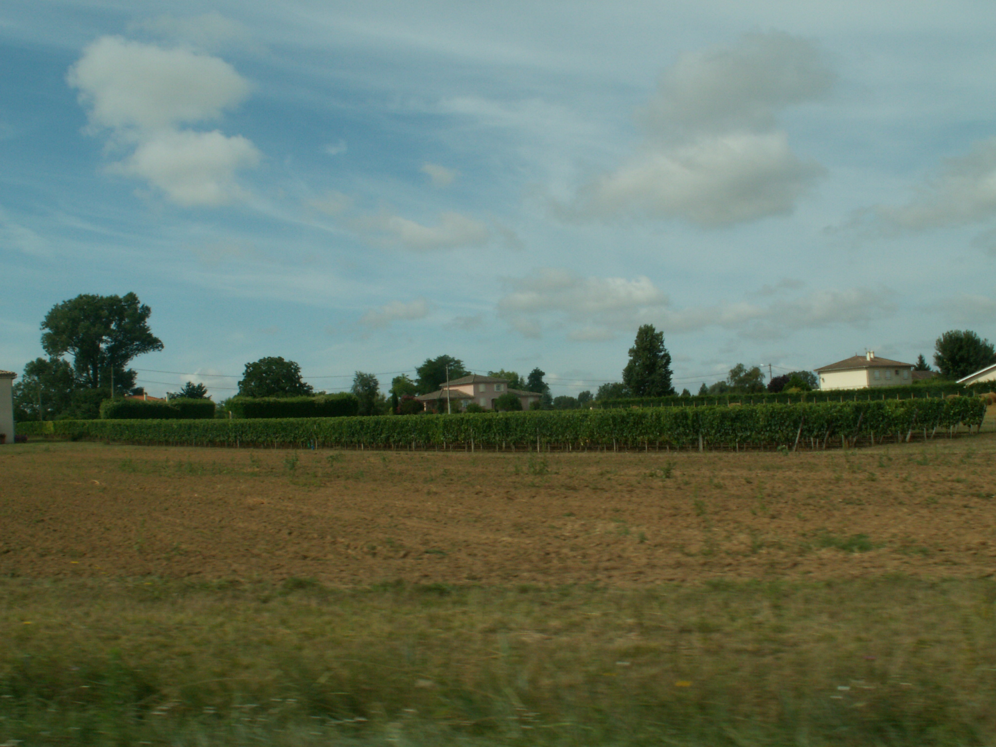 Wein Frankreich