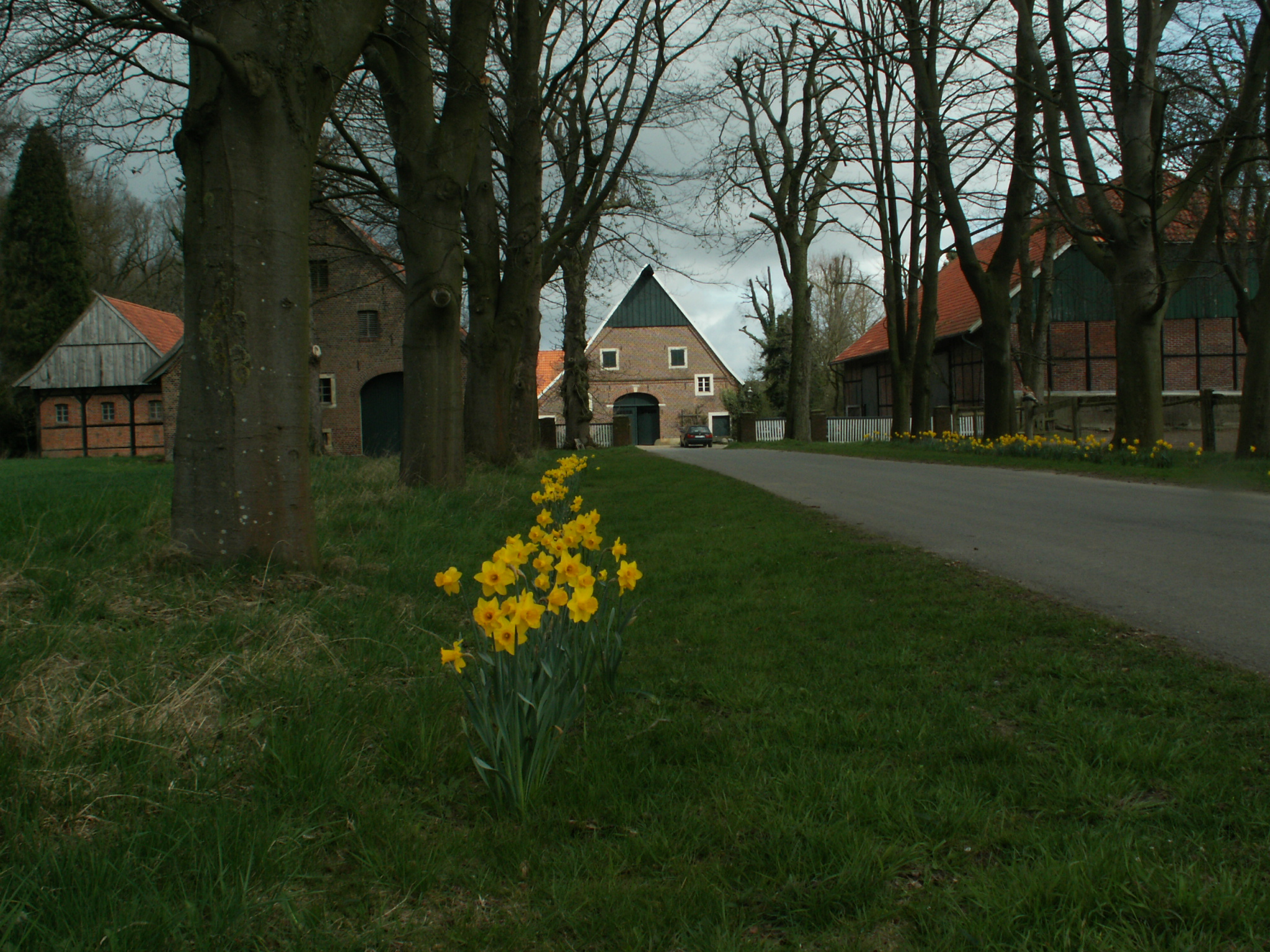 farm