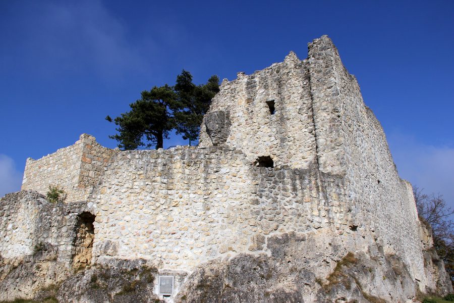 Burgruine Lichtenegg auf einem bewaldeten Felsen in der Frankenalb