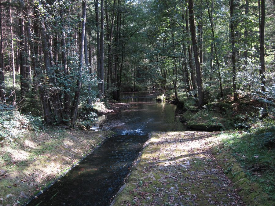 Blick auf das Hafenlohrtal bei der Brücke beim Torhaus oberhalb von Windheim