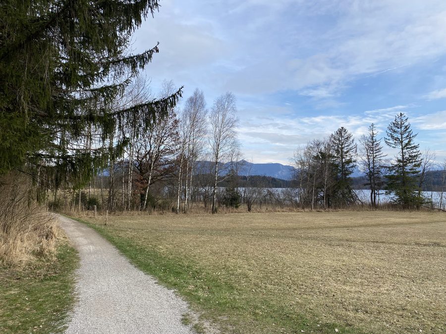Landschaft im Naturschutzgebiet Westlicher Staffelsee bei Uffing am Staffelsee
