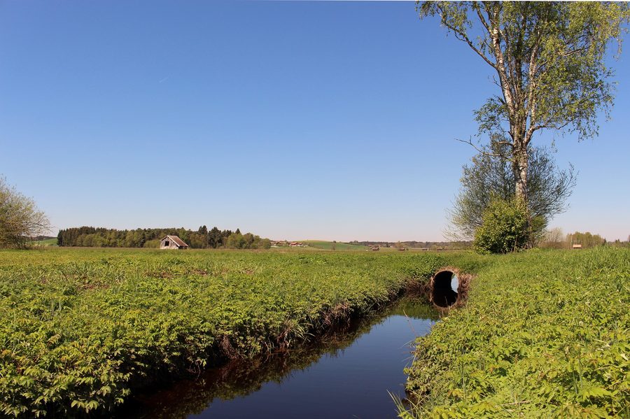 Landschaftsschutzgebiet Haarmoos am Abtsdorfer See