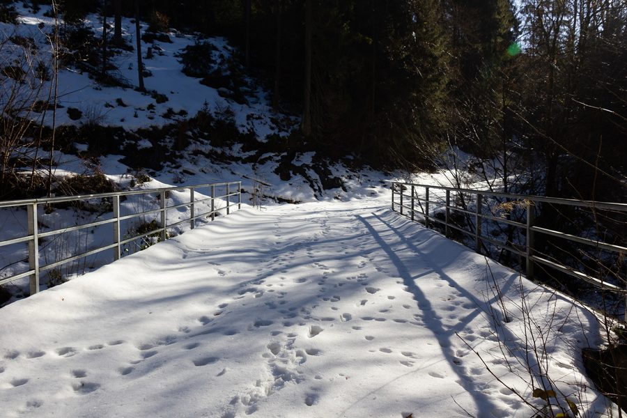 Historische Brücke über die Nordhalbener Ködel im Naturschutzgebiet Tschirner und Nordhalbener Ködeltal