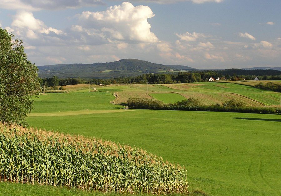 Der Moritzberg in der Frankenalb, von Tauchersreuth aus gesehen