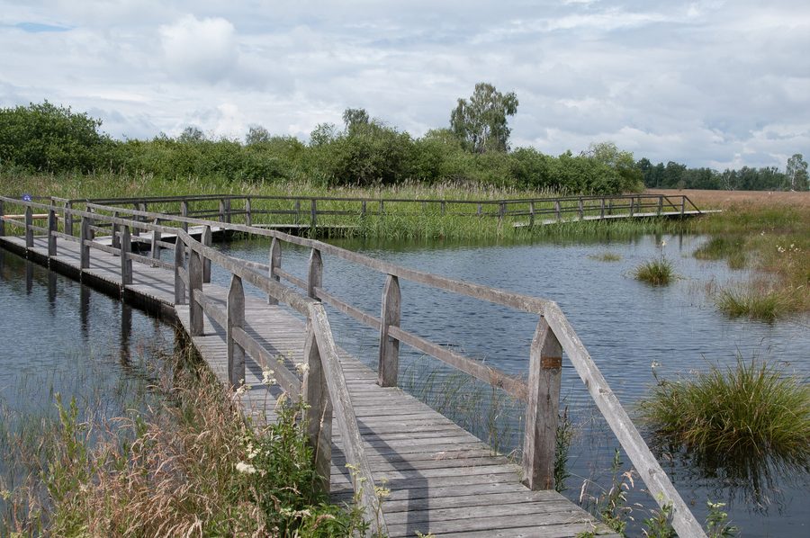 Bohlenweg durch das Naturschutzgebiet Leipheimer Moos in Bayerisch-Schwaben