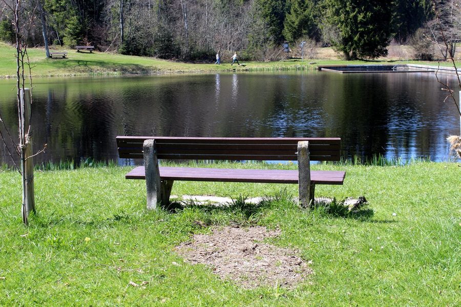Moorweiher mit Sitzbank in Buchenberg
