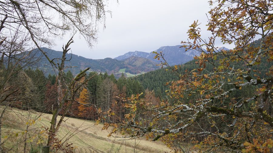 Blick auf den Zinnkopf und den Rauschberg in den Chiemgauer Alpen