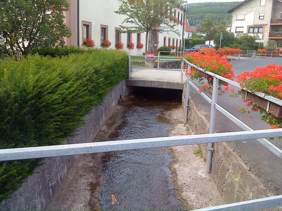 Die junge Aura in Aura im Sinngrund