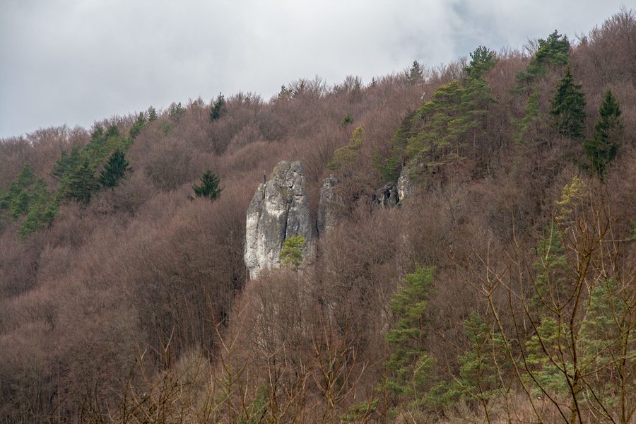 Landschaft im Trubachtal in der Fränkischen Schweiz bei Oberfranken