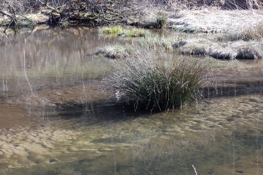 Spessartwiesen bei Neuhütten mit Teichen des Kaltengrundbachs