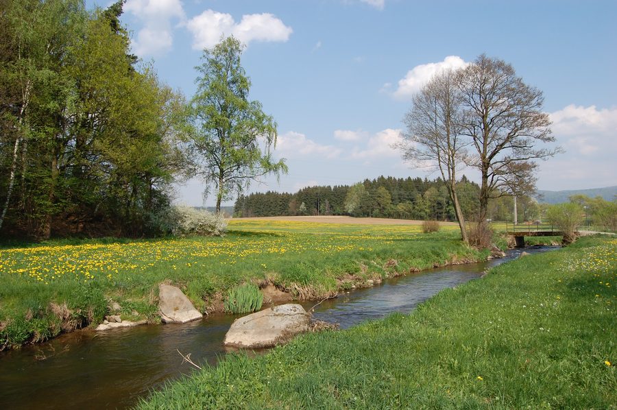 Die Böhmische Schwarzach südwestlich von Waldmünchen im Landkreis Cham