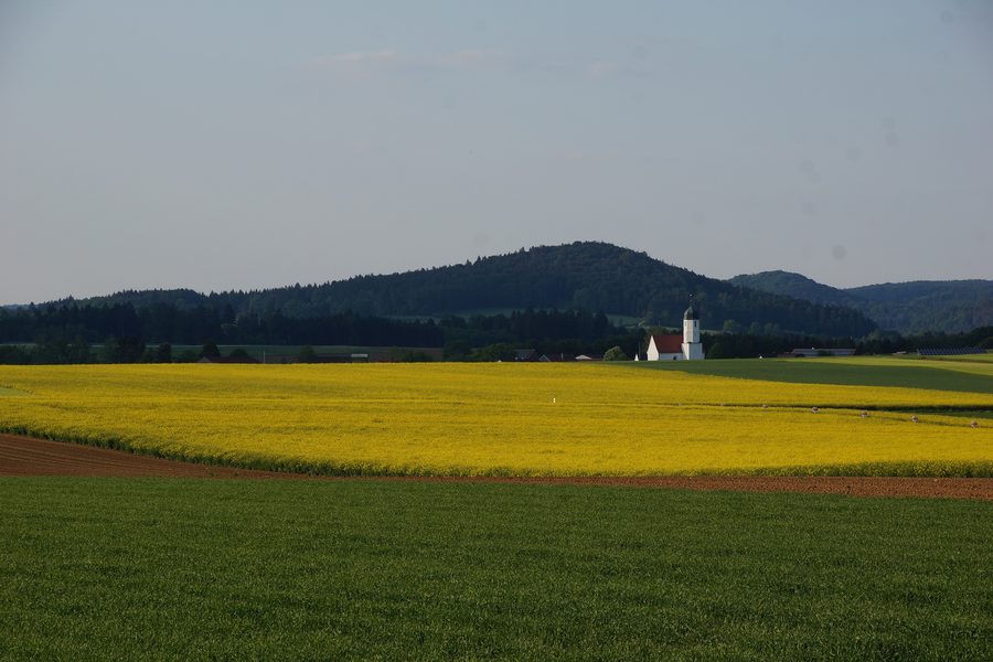 Blick auf Waldhausen
