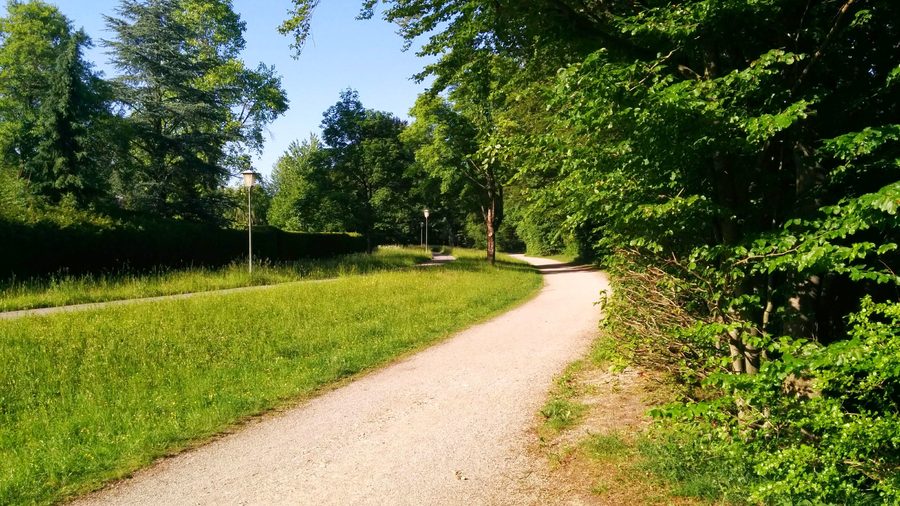 Isarhochufer bei Pullach im Isartal