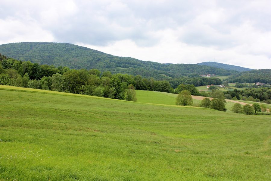 Wiesen und Wälder im FFH-Gebiet um den Brotjacklriegel und Schöllnach