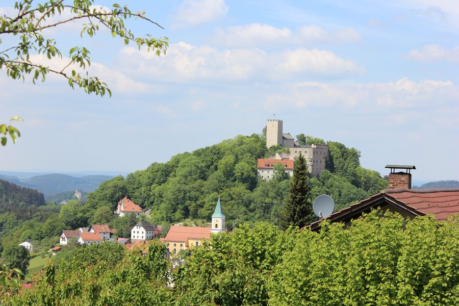Burg Falkenstein mit Felsengarten über dem Markt Falkenstein im Landkreis Cham