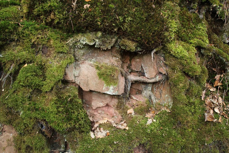 Moos und farbiger Buntsandstein im Odenwald nahe Amorbach