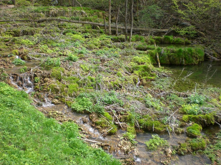 Lillach-Sinterterrassen nahe Weißenohe