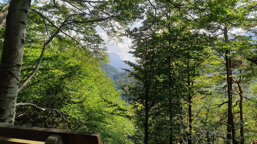 Ausblick vom Malerwinkel im Jenbachtal bei Bad Feilnbach zum Wendelstein