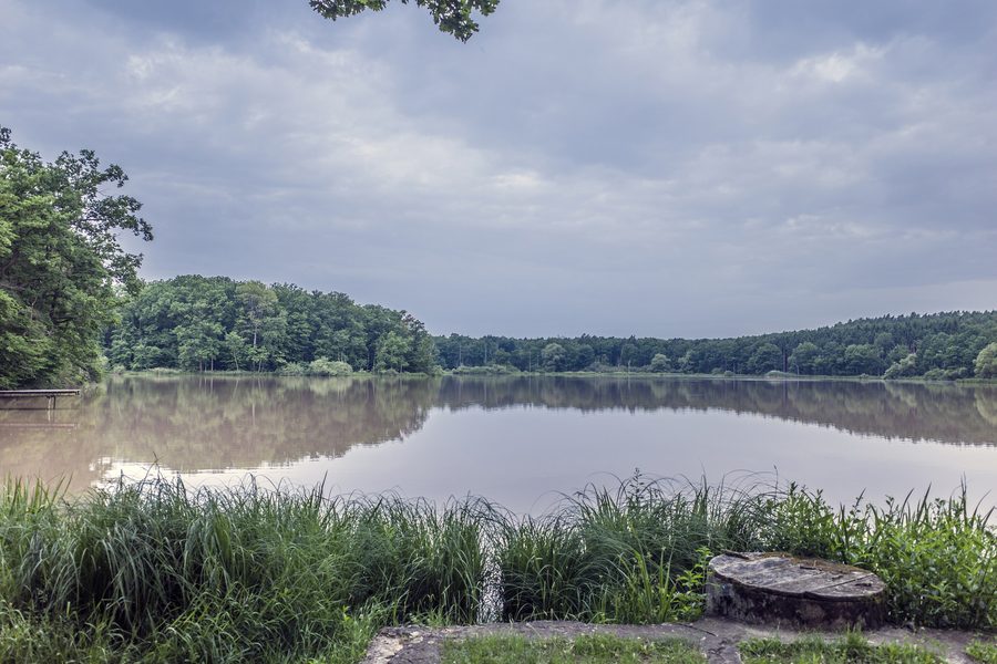 Reuthsee bei Sulzdorf an der Lederhecke inmitten einer grünen Landschaft