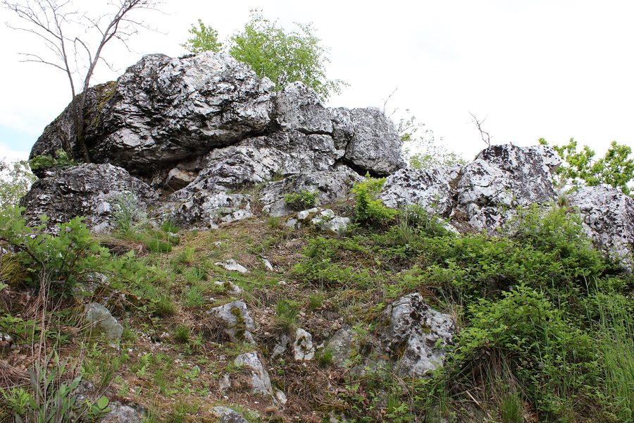 Moosbacher Pfahl nordöstlich von Moosbach im Landkreis Regen