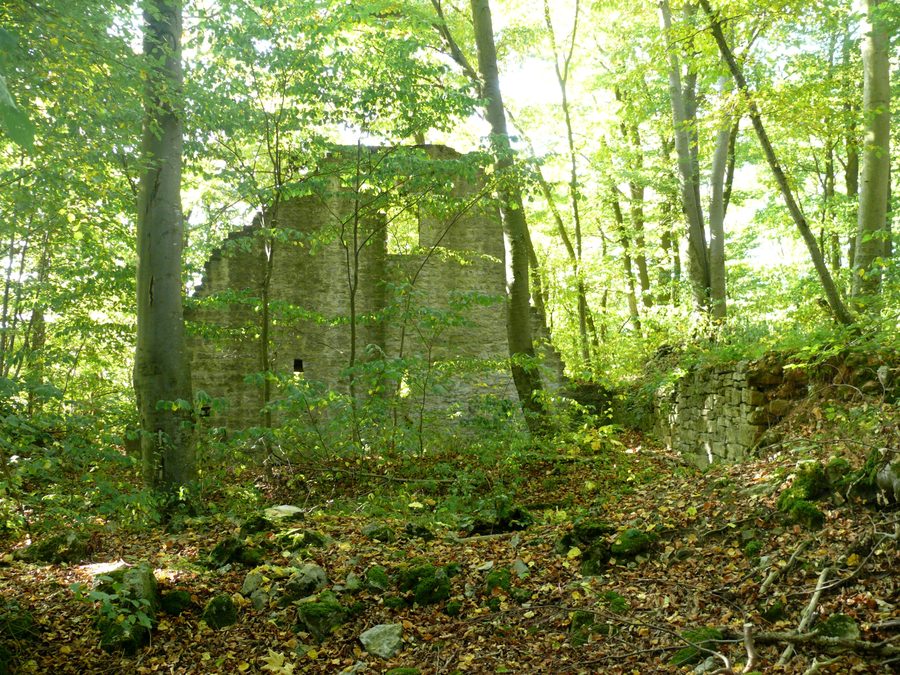 Mauerrest der Burgruine Seldeneck bei Creglingen