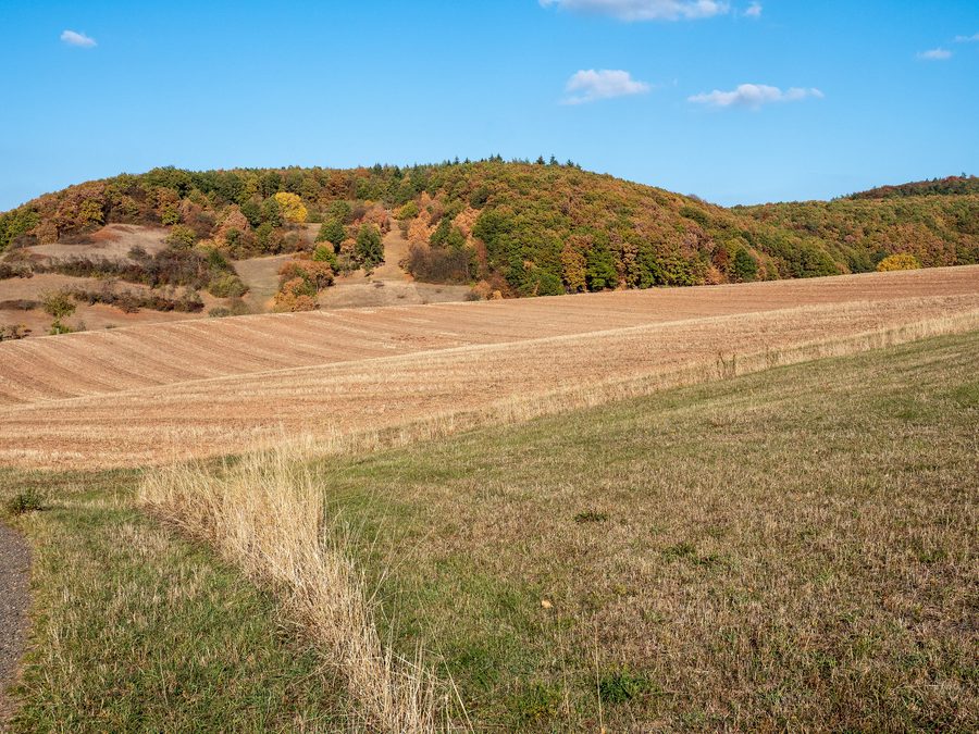 Hügellandschaft bei Sechstahl im Naturpark Haßberge