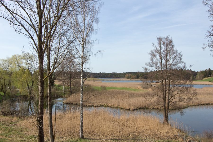 Seenlandschaft der Osterseen bei Iffeldorf mit Ufervegetation