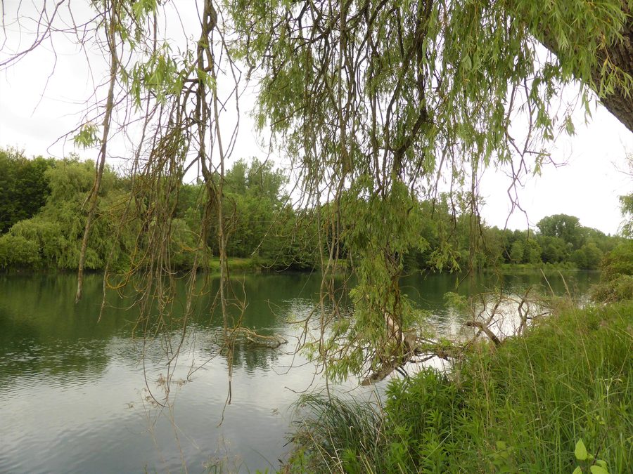 Die Isar im FFH-Gebiet Unteres Isartal bei Mamming