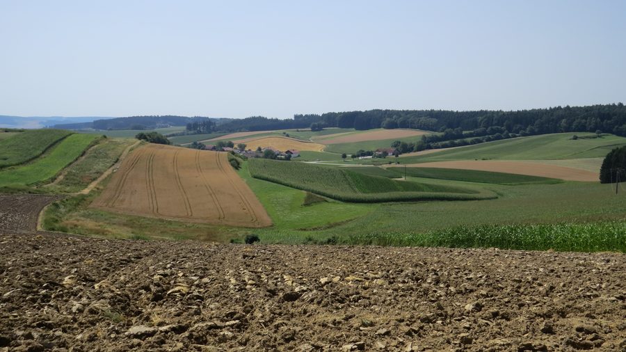 Rottal-Landschaft bei Bad Birnbach mit sanften Hügeln und Feldern