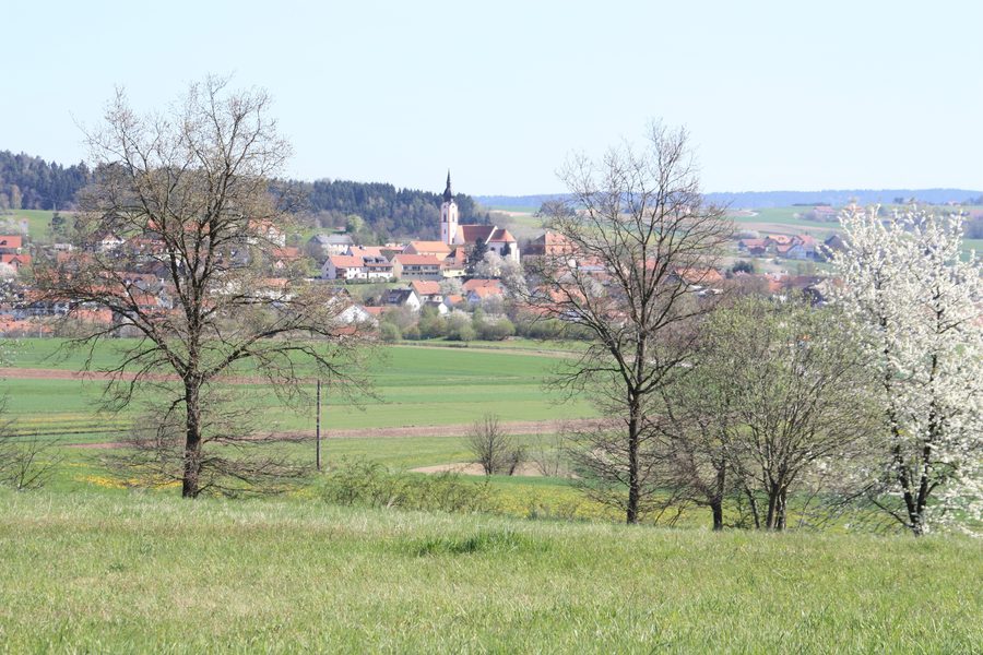 Altenthann im Falkensteiner Vorwald