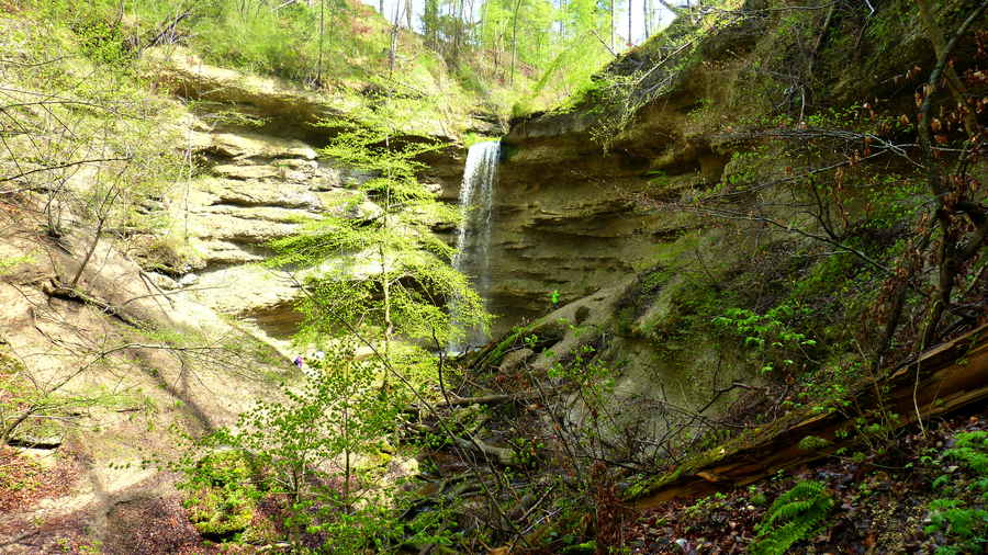Pähler Wasserfall im Naturschutzgebiet Pähler Schlucht, mit einem Baum im Mittelgrund