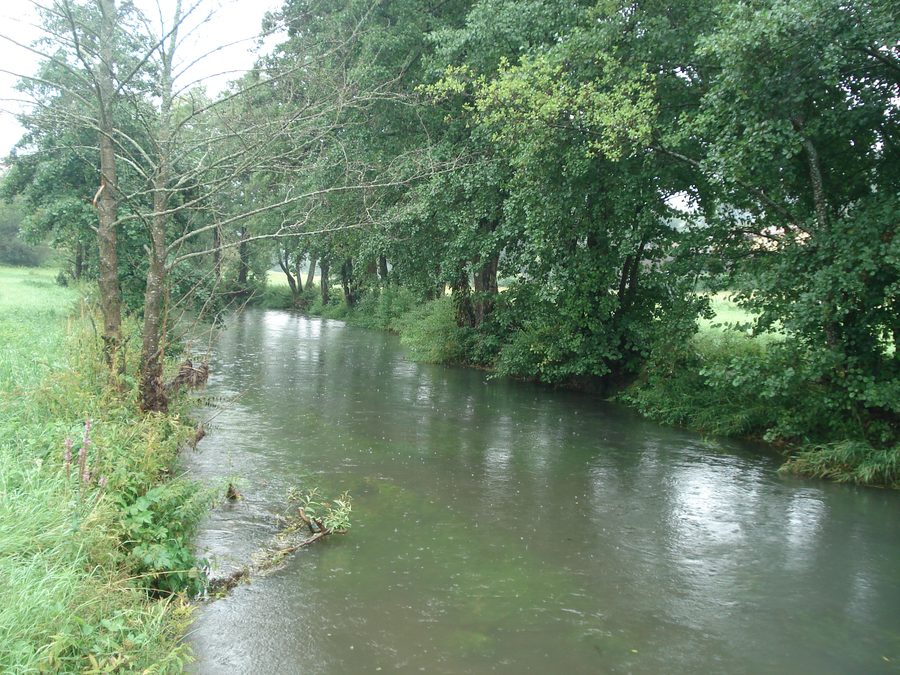 Die Schwarze Laber bei Parsberg in der Oberpfalz