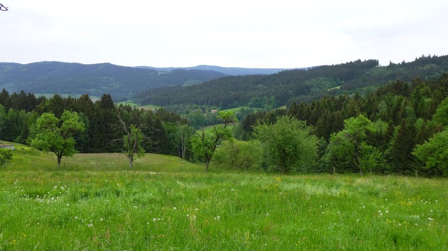 Landschaft mit Wiesen und bewaldeten Hügeln in der Gemeinde Perasdorf