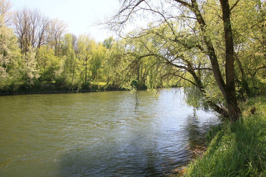 Blick auf das nördliche Donauufer bei Marxheim