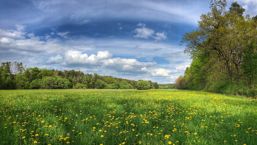 Frühlingslandschaft im Landschaftsschutzgebiet Seebachgrund
