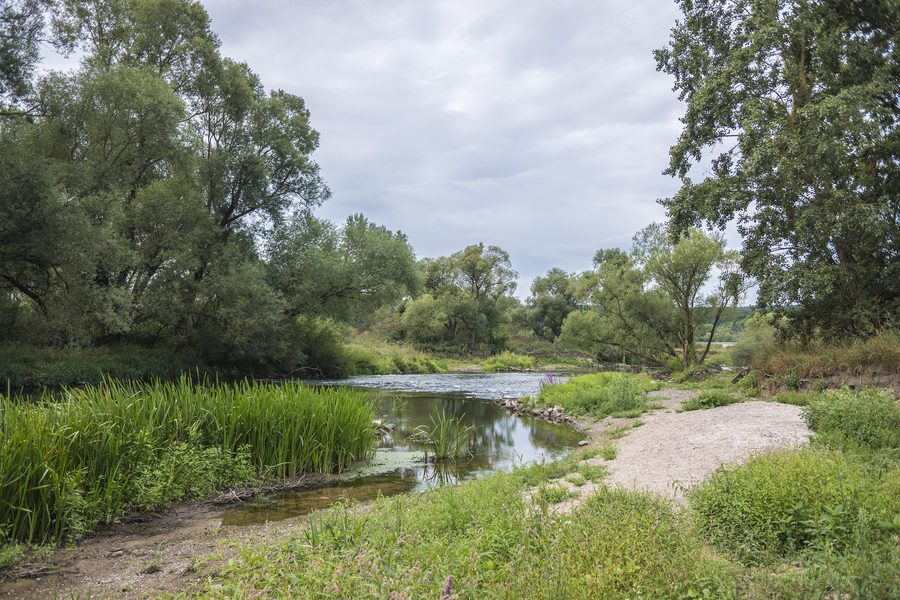 Main bei Baunach südöstlich des Südsees