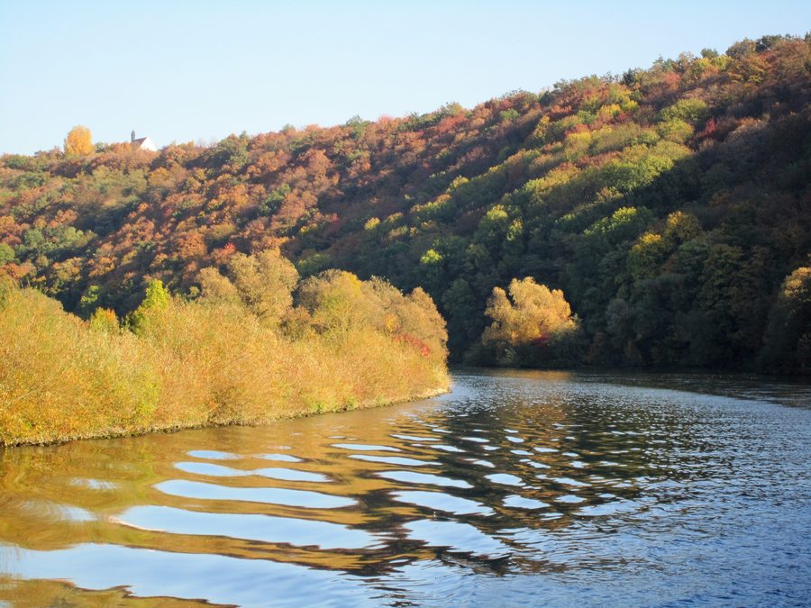 Blick auf die Mainschleife oberhalb von Volkach mit Weinbergen und der Vogelsburg