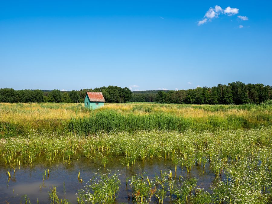 Weiherlandschaft im Aischgrund im Naturschutzgebiet bei Weppersdorf