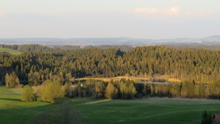 Notzenweiher bei Betzigau mit umgebender Wiesen- und Hügellandschaft