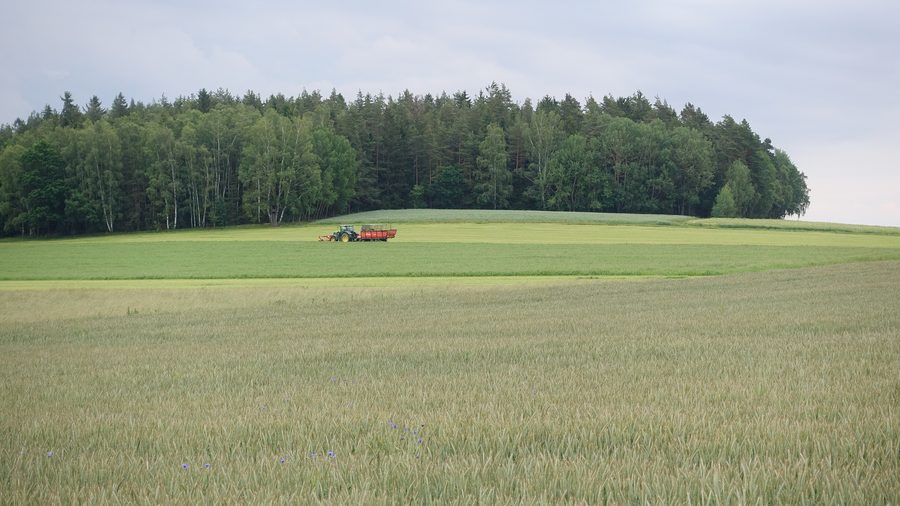 Blick über Marktredwitz im Juni 2019 vom Oberberg