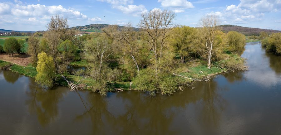 River meadows of the Regnitz near Pettstadt in the district of Bamberg