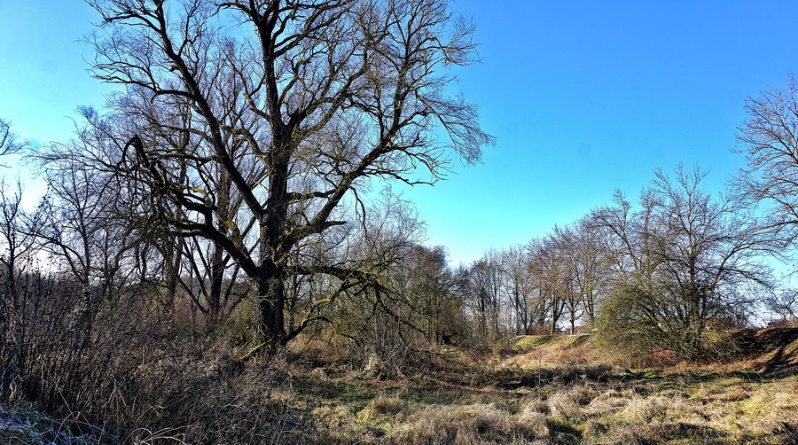 Landschaftsbestandteil Götzbachgraben in Niederaichbach im Landkreis Landshut