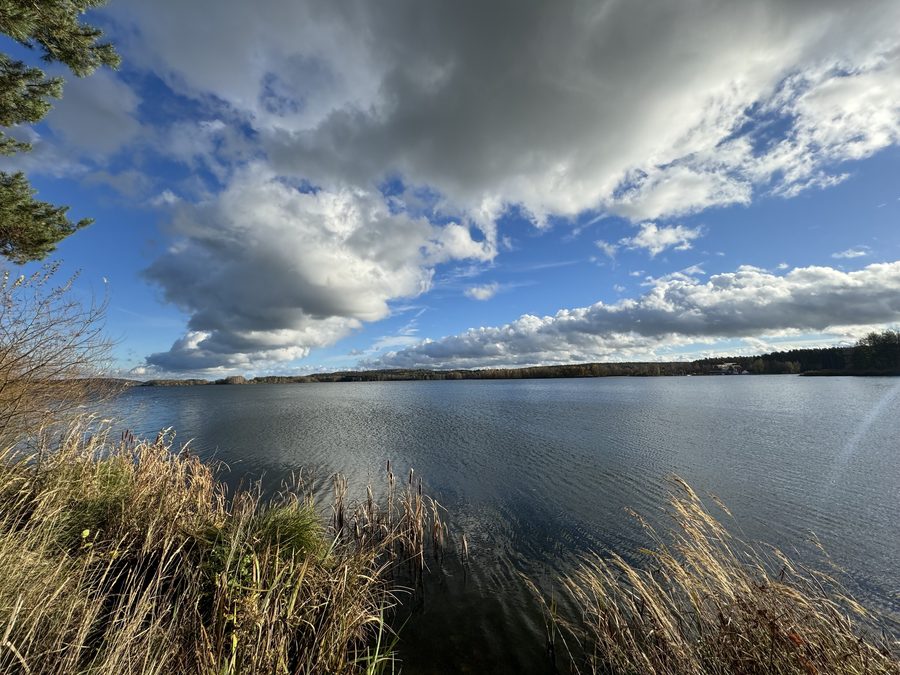 Ufer des Kleinen Brombachsees mit Blick in Richtung Langlau bei flachem Sonnenstand