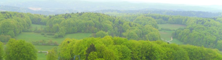 Blick von der Burg Hohenstein über die grünen Hügel der Hersbrucker Schweiz