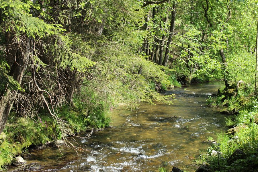 Landschaft der Ruhmannsfeldener Leite mit bewaldeter Teisnachschlucht