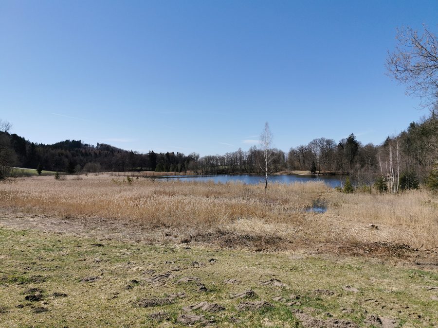 Waldweiher in Dietramszell, Blick nach Südwesten