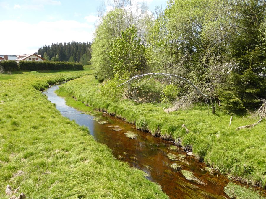 Die Kalte Moldau in Haidmühle im Naturpark Bayerischer Wald