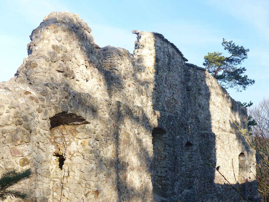 Äußere Palasmauer der Burgruine Wildenfels nahe dem Ortsteil Wildenfels der Gemeinde Simmelsdorf