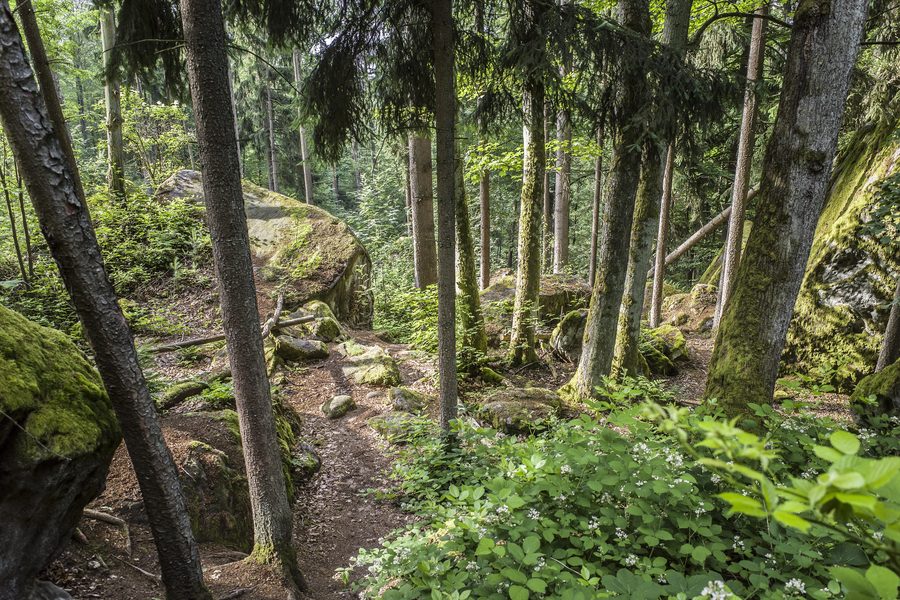 Felswand und Abstieg im Felsenlabyrinth Diebskeller bei Rabelsdorf