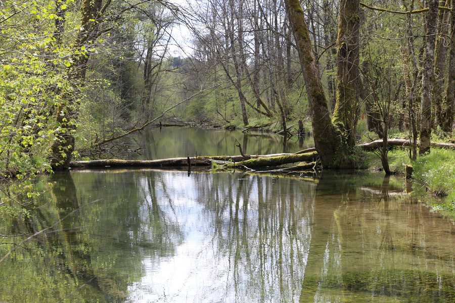 Altwasser an der Isar bei Schäftlarn in der Gemeinde Egling